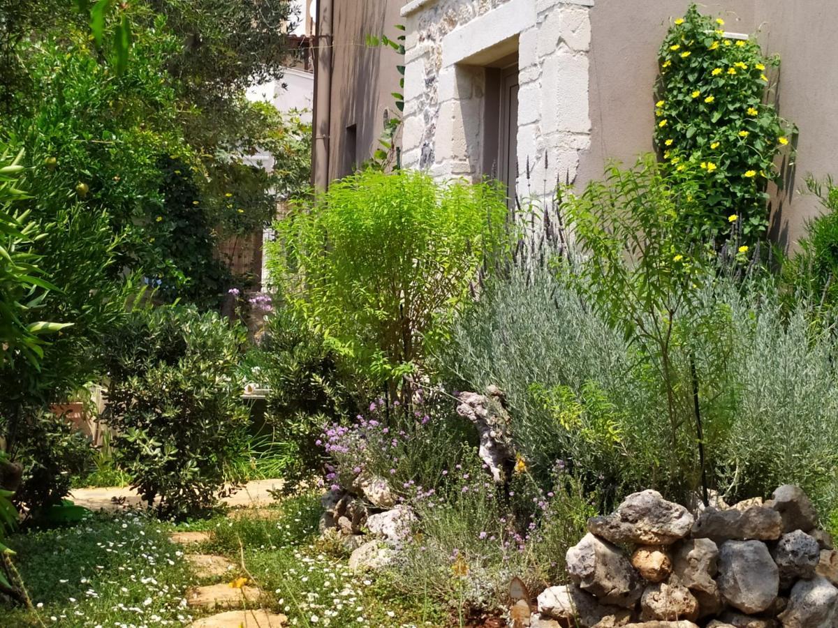 Olive Lemon Biophilic House & Lush Forest Garden *