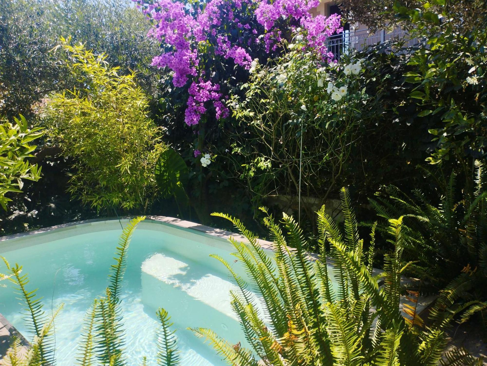 Olive Lemon Biophilic House & Lush Forest Garden *