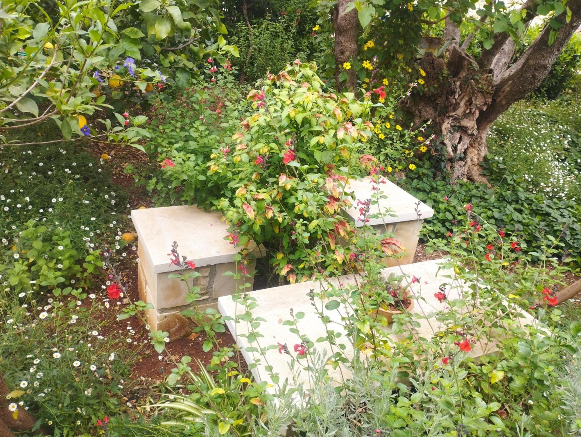 Olive Lemon Biophilic House & Lush Forest Garden Σπίτι διακοπών Βάμος