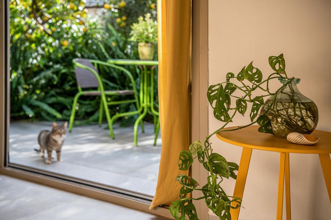 Olive Lemon Biophilic House & Lush Forest Garden *