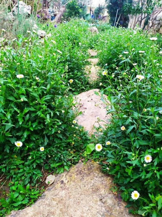 Olive Lemon Biophilic House & Lush Forest Garden * Vámos