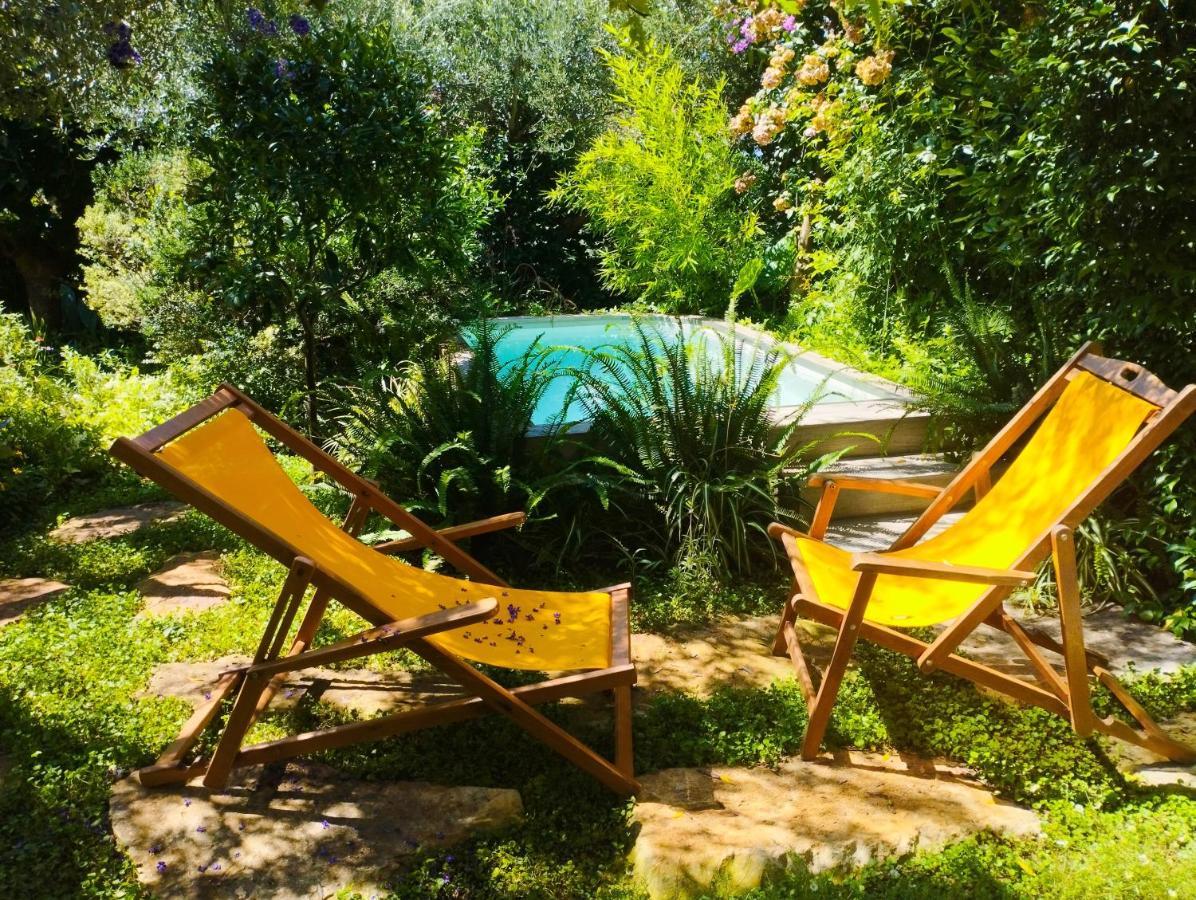Olive Lemon Biophilic House & Lush Forest Garden 度假居 Vámos