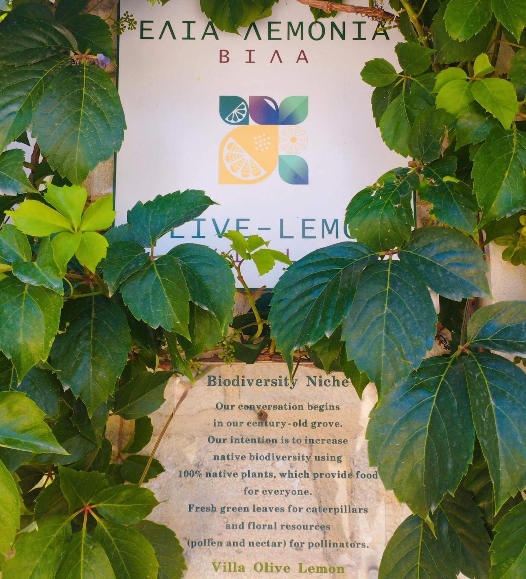 Olive Lemon Biophilic House & Lush Forest Garden * Vámos
